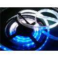 High Brightness 3528SMD LED Strip with CE RoHS